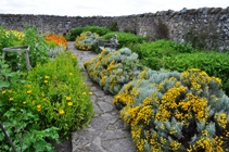 Lindisfarne garden