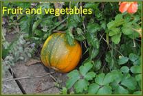 Fruit and vegetables