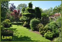 Lawn maintenance