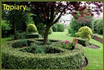 Topiary