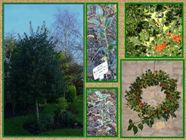 A garden in Thornton le Dale A garden in Thornton le Dale