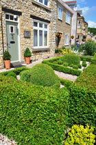 Box topiary