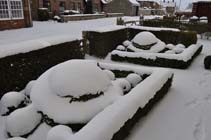 Beast from the East