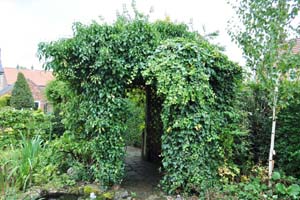 Pergola renovation
