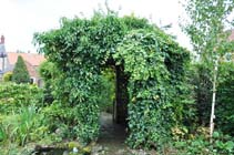 Overgrown pergola