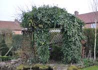 Overgrown pergola