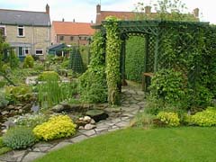 Pergola with ivy