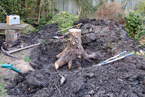 Tree felling