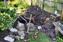 Tree root clearance