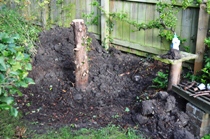 Clearing tree stump