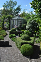 Box topiary