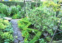 Zigzag  topiary
