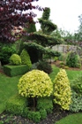 Garth End Cottage garden