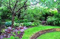woodland area