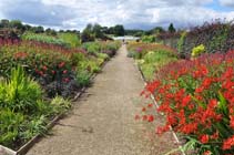 Helmsley Walled Garden