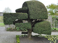 Levens Hall topiary