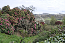 Muncaster Castle