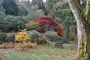 Dawyck Botanic Gardens