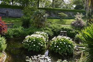 Candie gardens