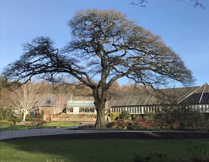 Harlow Carr Gardens