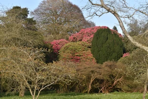 Holker Hall
