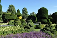 Levens Hall