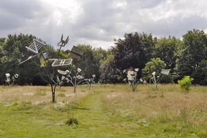 Alternative landscape