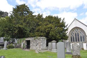 Fortingall yew