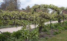 Pear arch, Beningbrough Hall