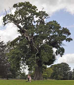 Scampston Hall