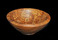 Burr elm bowl