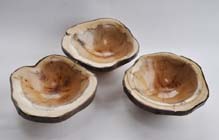 Yew dishes