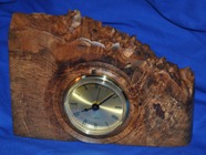 Burr elm