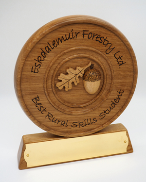 Hand made wooden trophy