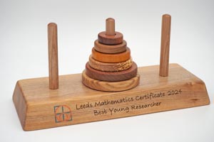 Handmade wooden maths puzzle trophy