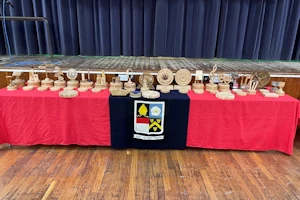 School subject trophies for Key Stage 3