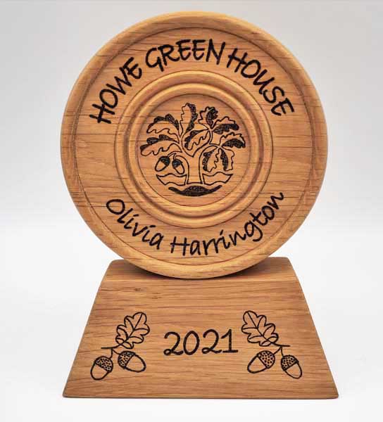 Disc trophies