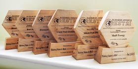 Sustainability business awards