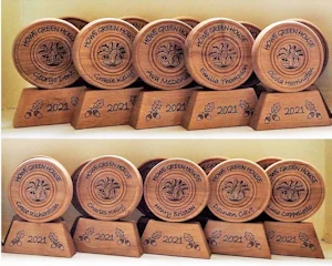 Disc trophies on plinths