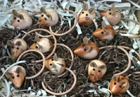 Hand turned yew mice