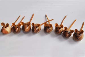 8 mice in a row