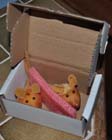 Two mice in a box 