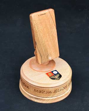 ICT trophy