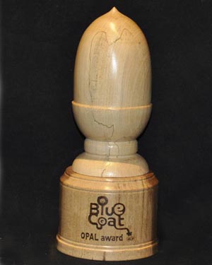 Hand made wooden acorn gift