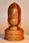 Acorn Award