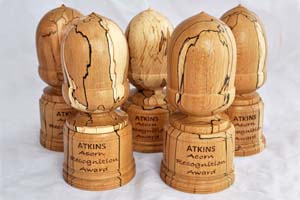 Acorn award