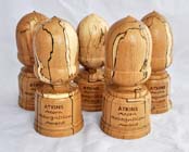 Acorn awards