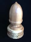 Acorn gift