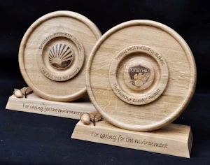 handmade wooden environment trophy