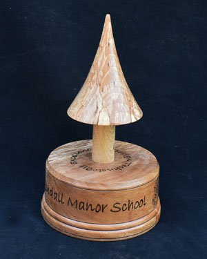 Design Technology Award